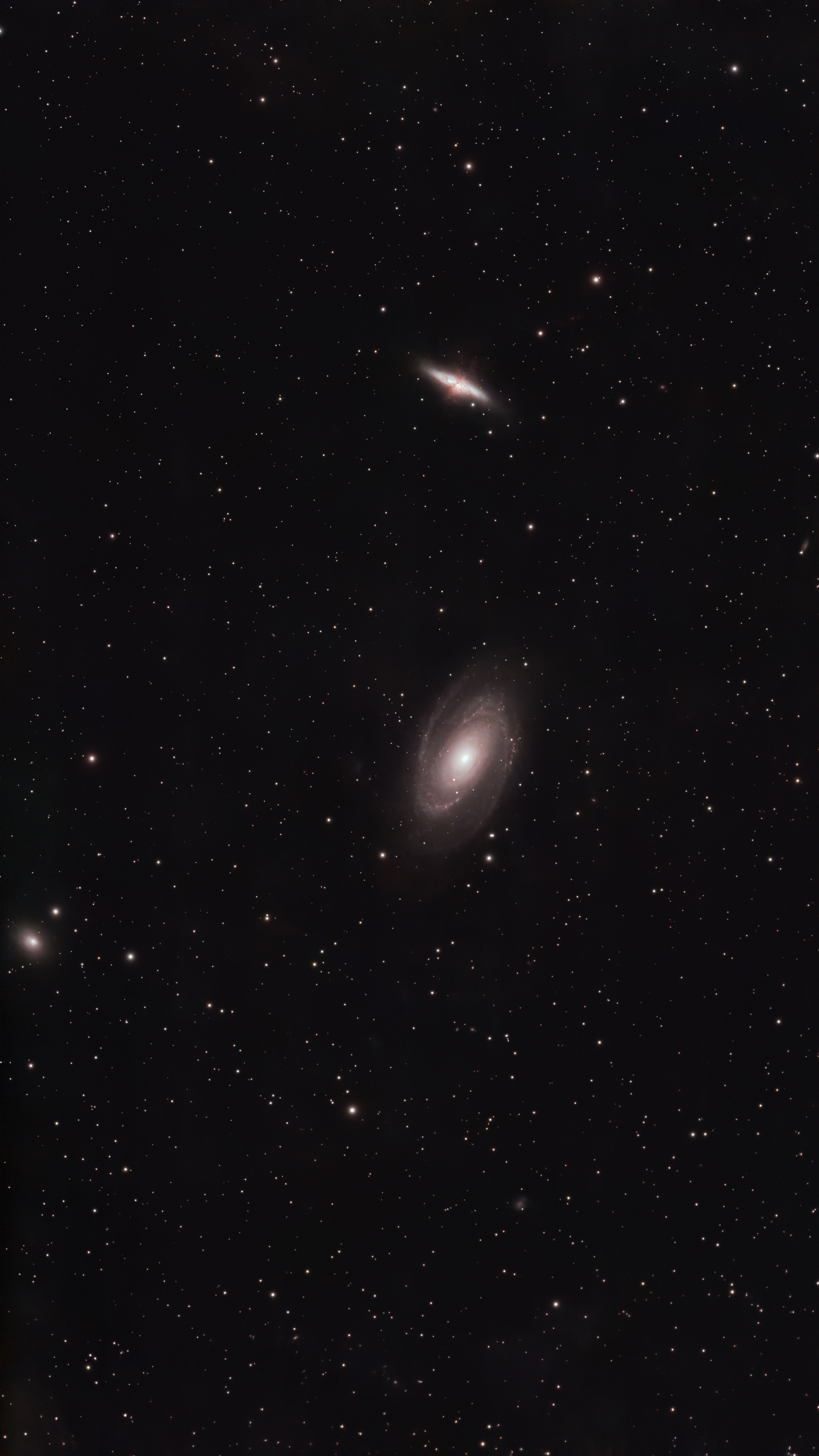 M81 (Bode's Galaxy)